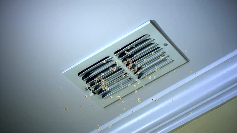 Best Affordable Air Duct Cleaning  in Johns Creek, GA